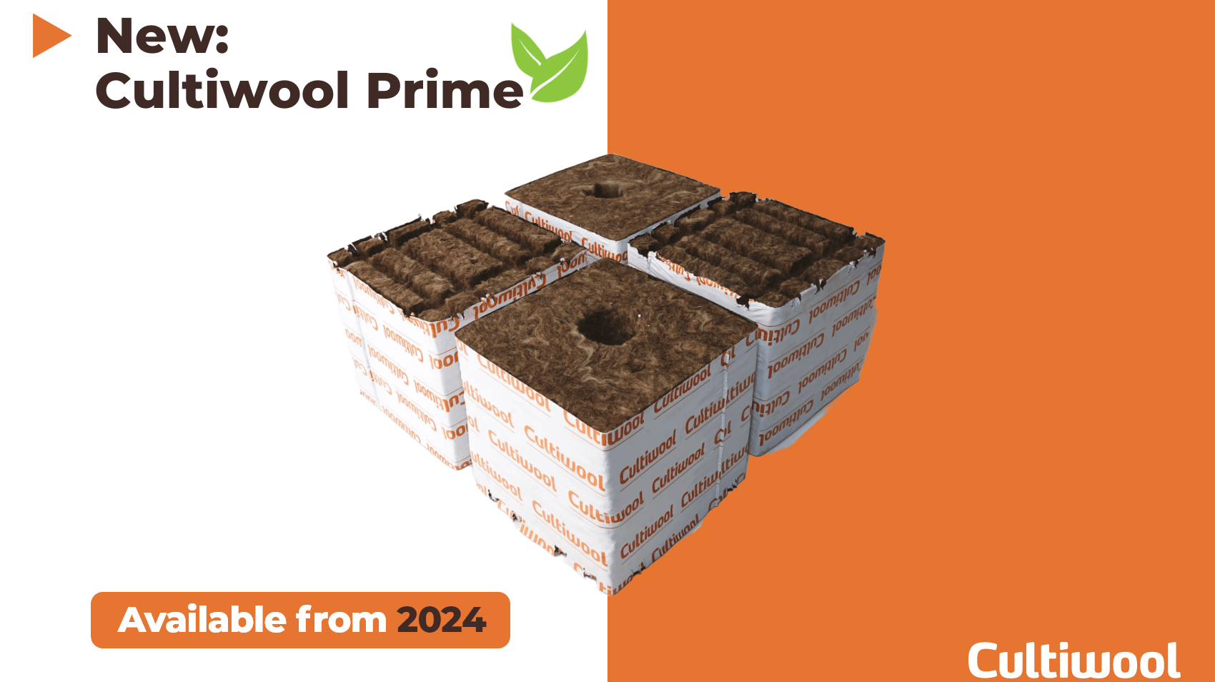 newcultiwoolprime[1]